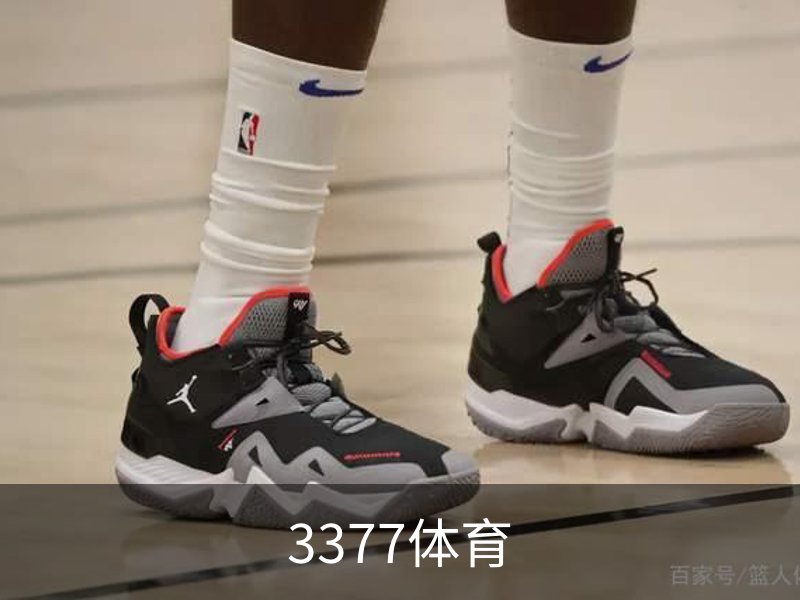 3377体育概况